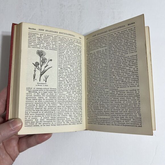 Funk and Wagnalls New Standard Encyclopedia 1931 1934 Vol X Dumont to Eon - Picture 8 of 15